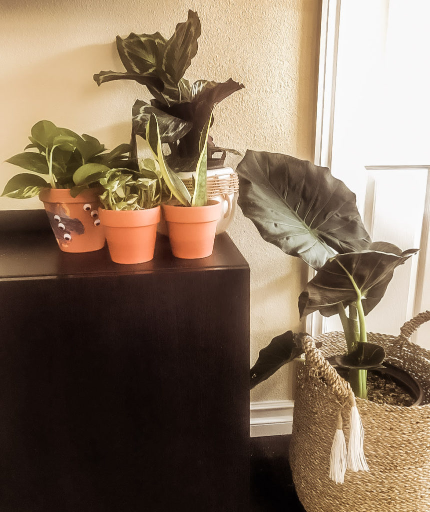 Get Plants: A great way to clean the air in our homes. Also helps improve our mood. Win!